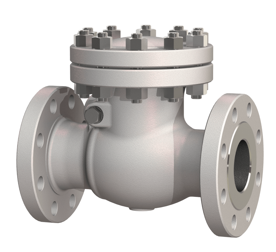 Check Valve