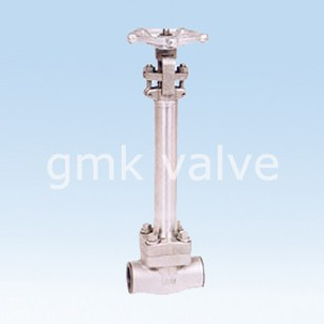 forged-steel-cryogenic-gate-valve-01