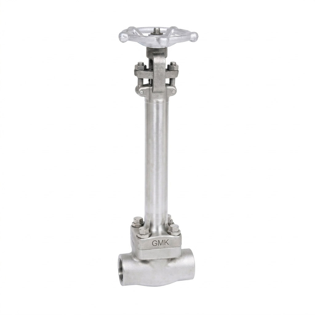 Forged Cryogenic Gate Valve for LNG and Low Temperature Applications