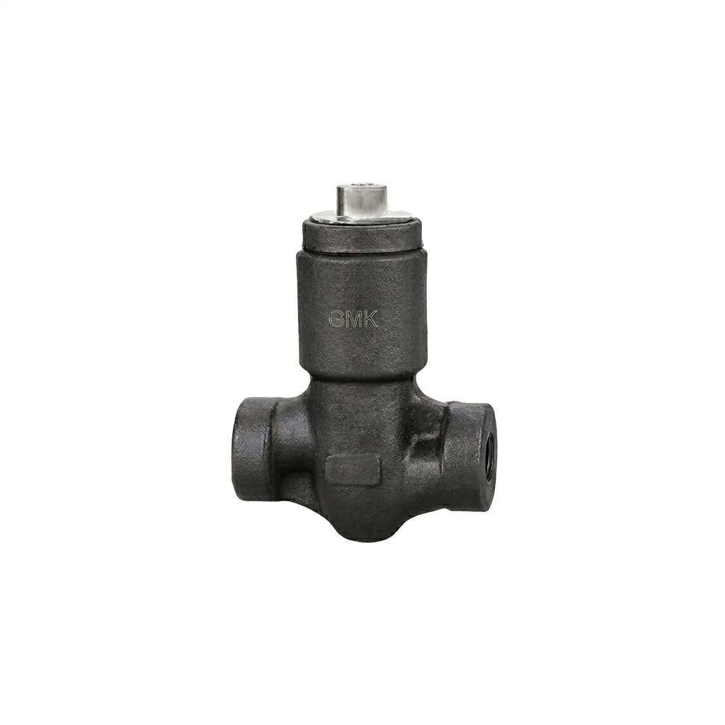 Forged Pressure Seal Check Valve for High Pressure Industrial Applications