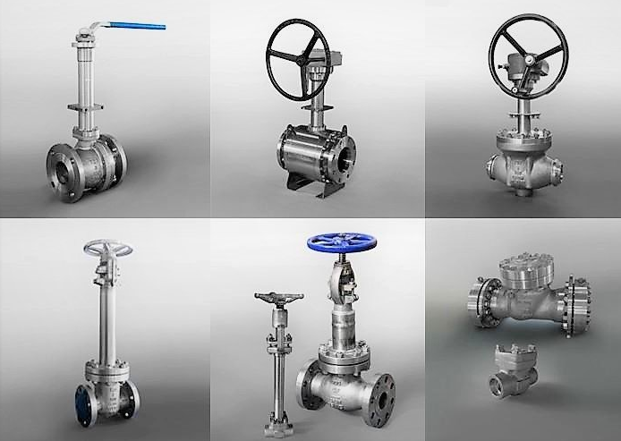 cryogenic gate valve