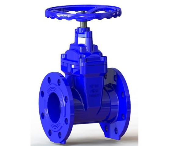 resilient seated gate valve