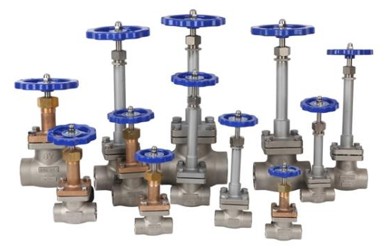 cryogenic globe valve
