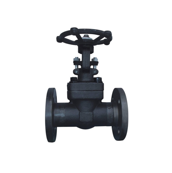 forged steel flange gate valve