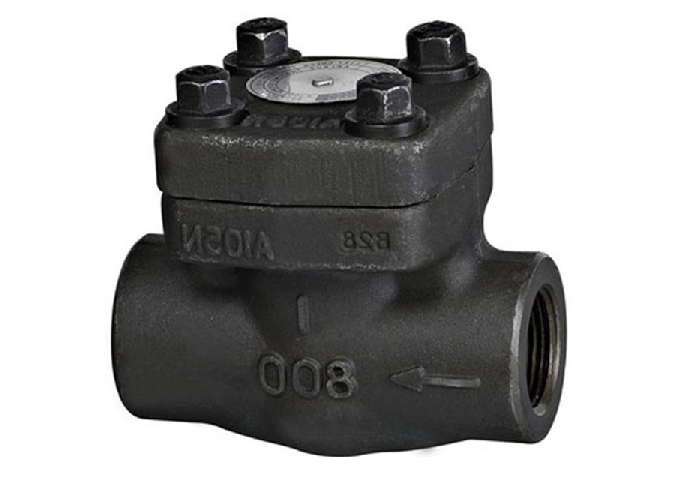Dual Plate Check Valve